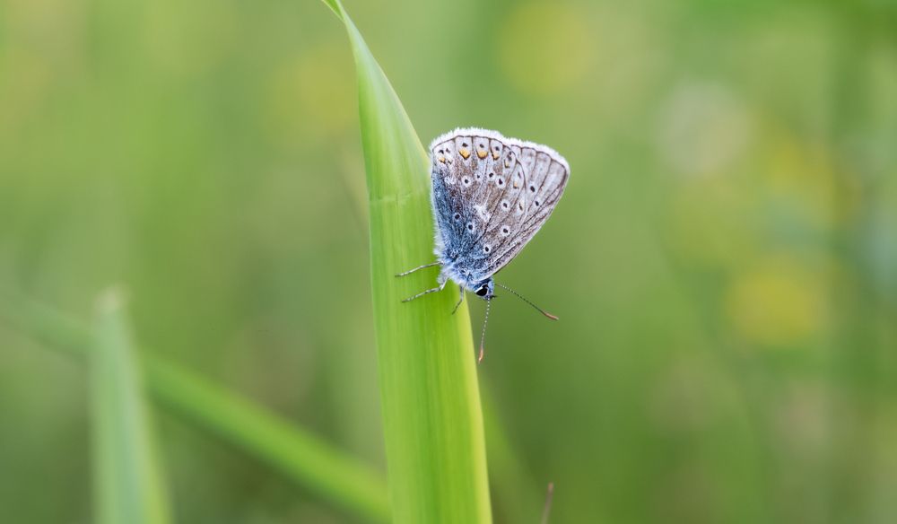 Photograph by Олег Чернышев