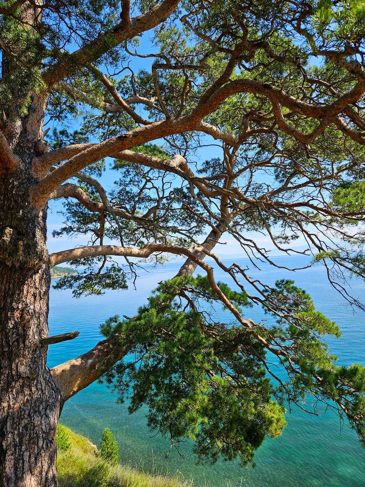 Фотография автора Зиля Раевских
