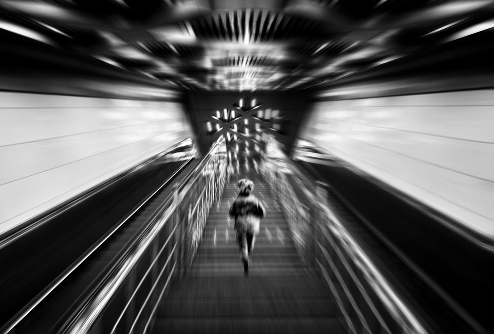 Photograph by محمودرضا نورایی