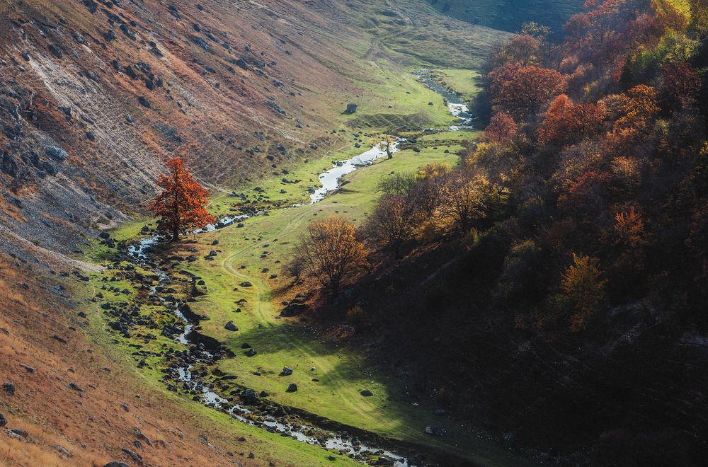 Фотография автора Oleg Suhenko