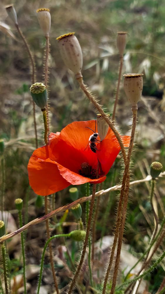 Photograph by Mayya Khrolovich