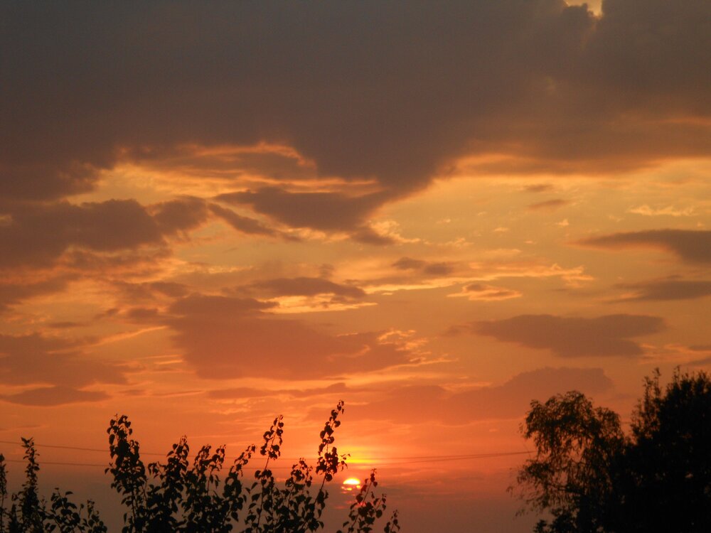 Photo #12048384