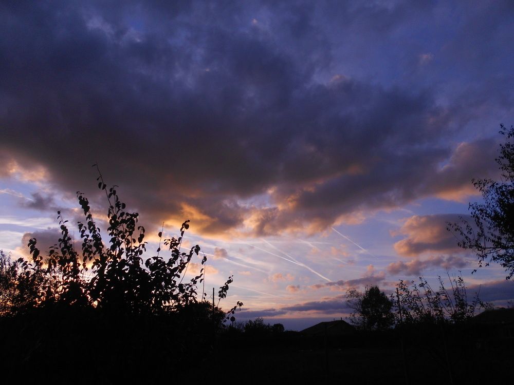 Photo #12048385