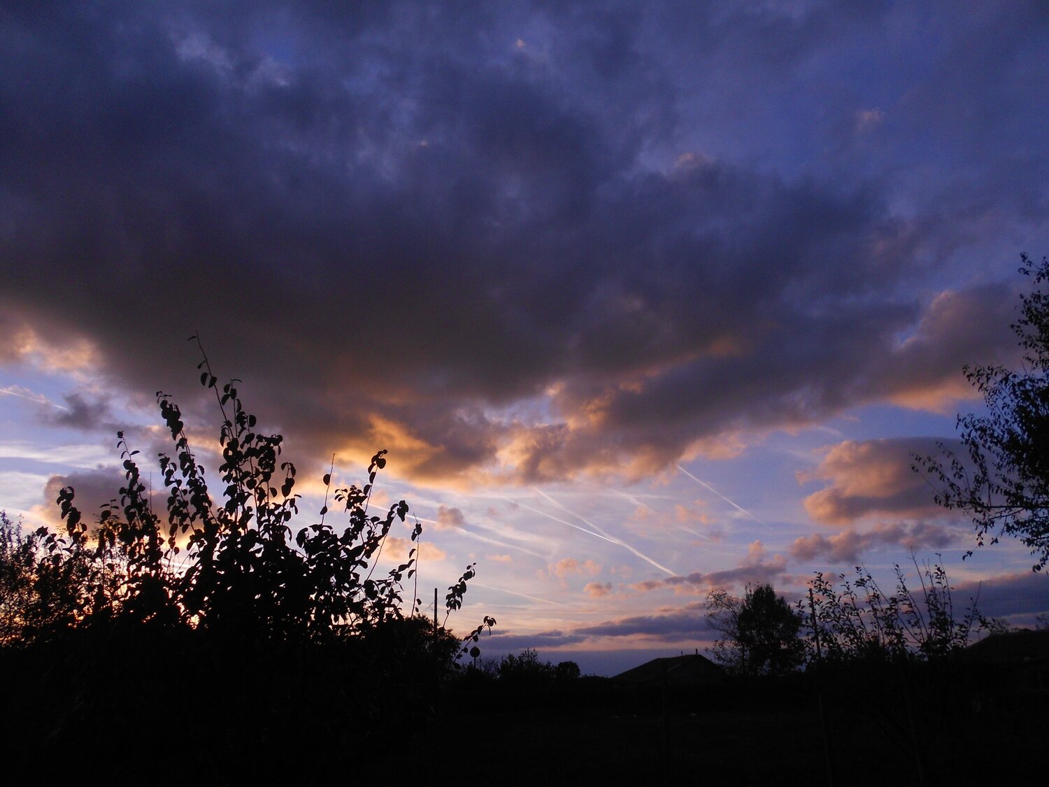 Photo #12048385