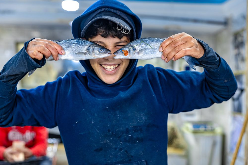 Фотография автора Steven Kruit