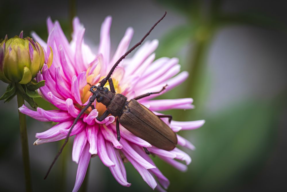 Photograph by Алексей Мякота