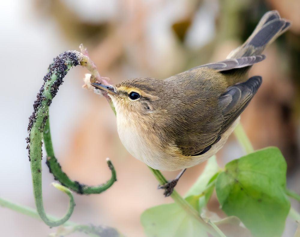 Фотография автора Sajeev Krishnan