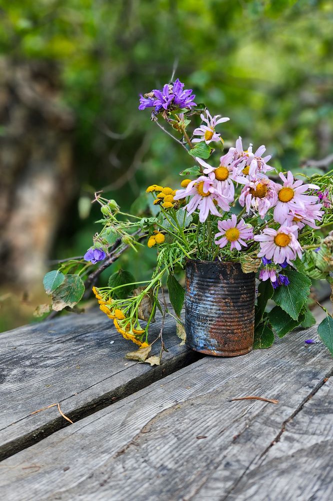 Фотография автора Зиля Раевских