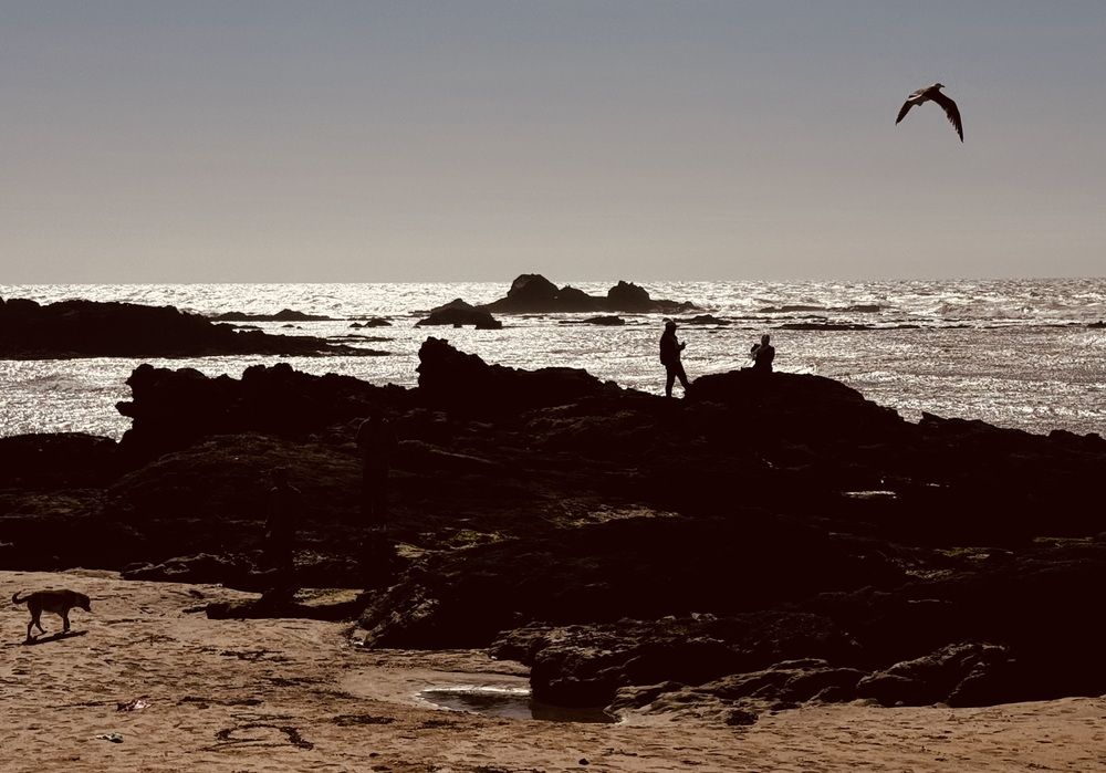 Photograph by Ирина Сатырь