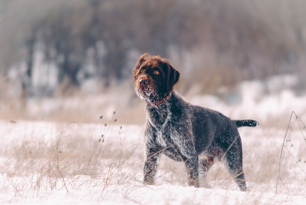 Photograph by Ольга Глущенко