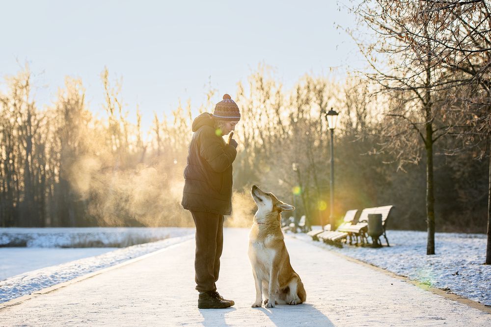 Photograph by Елена Самусенкова