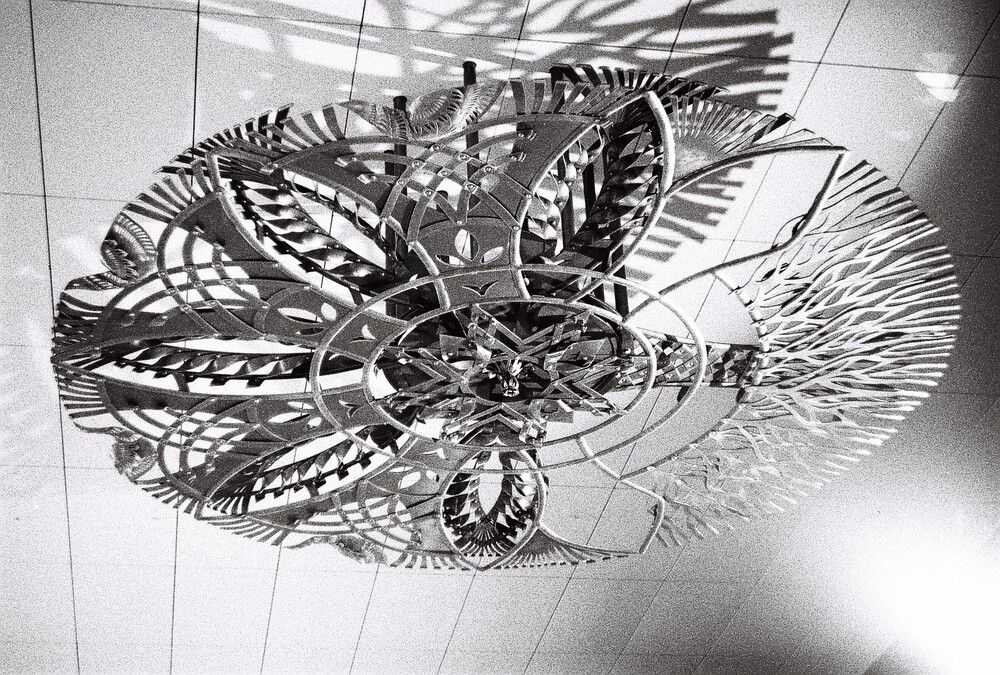 Photograph by Михаил Моисеев