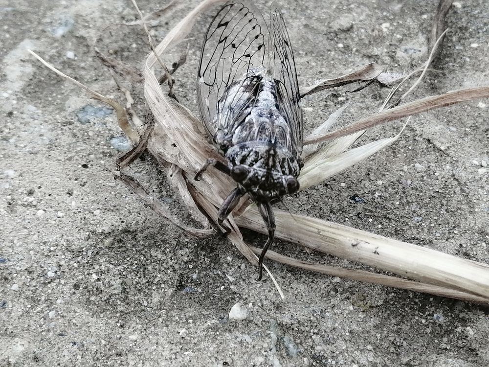 Photograph by Виталий Са