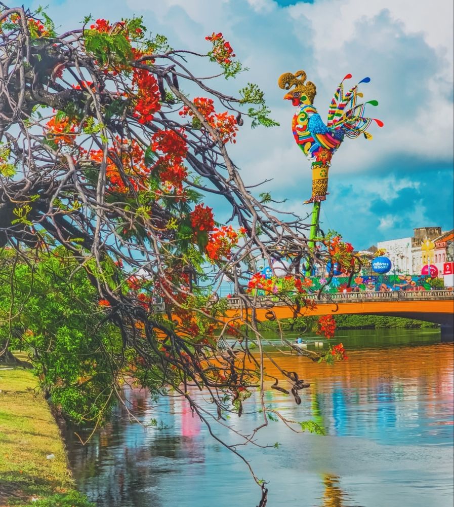 Фотография автора Walfrido Alexandre