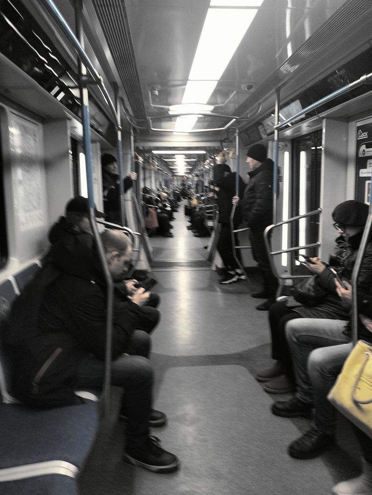 Photo #12048991