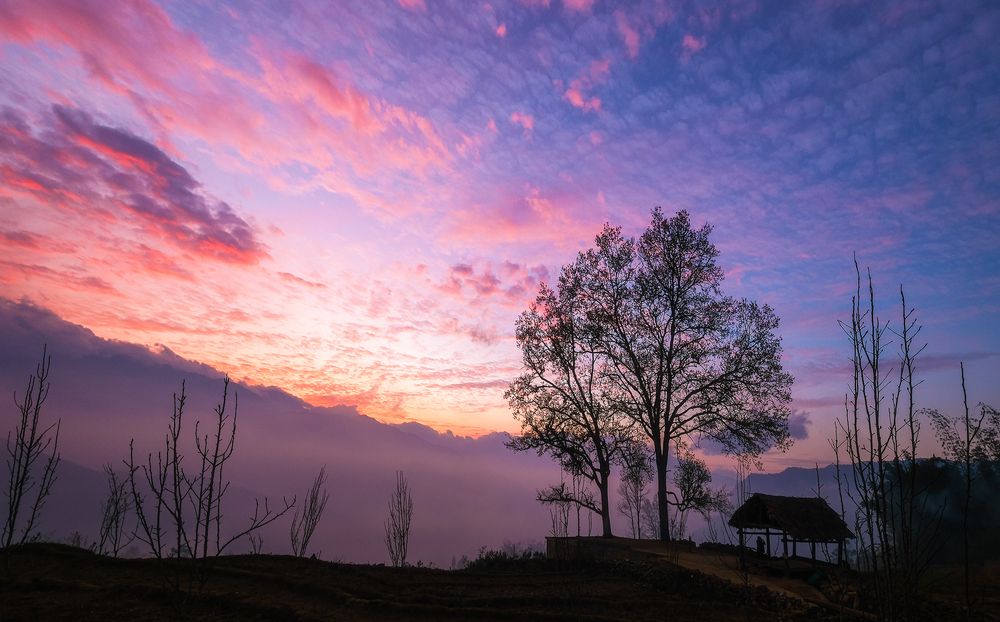 Photograph by Do Thi Thanh Binh