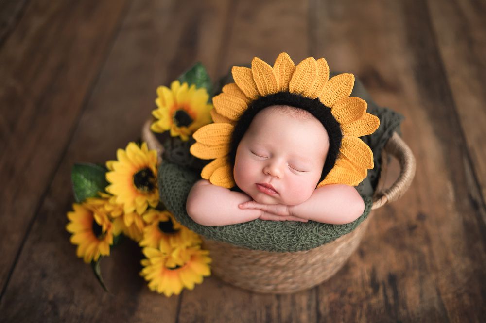 Подсолнухи