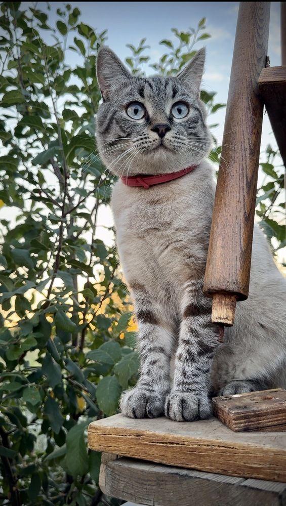 Photograph by Арина Бурда