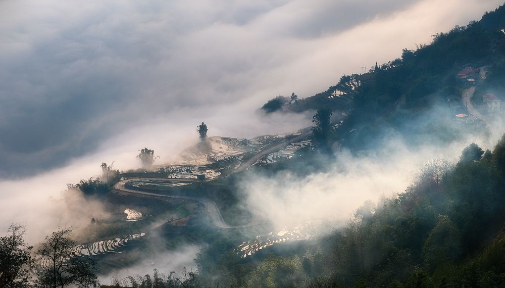 Photograph by Do Thi Thanh Binh