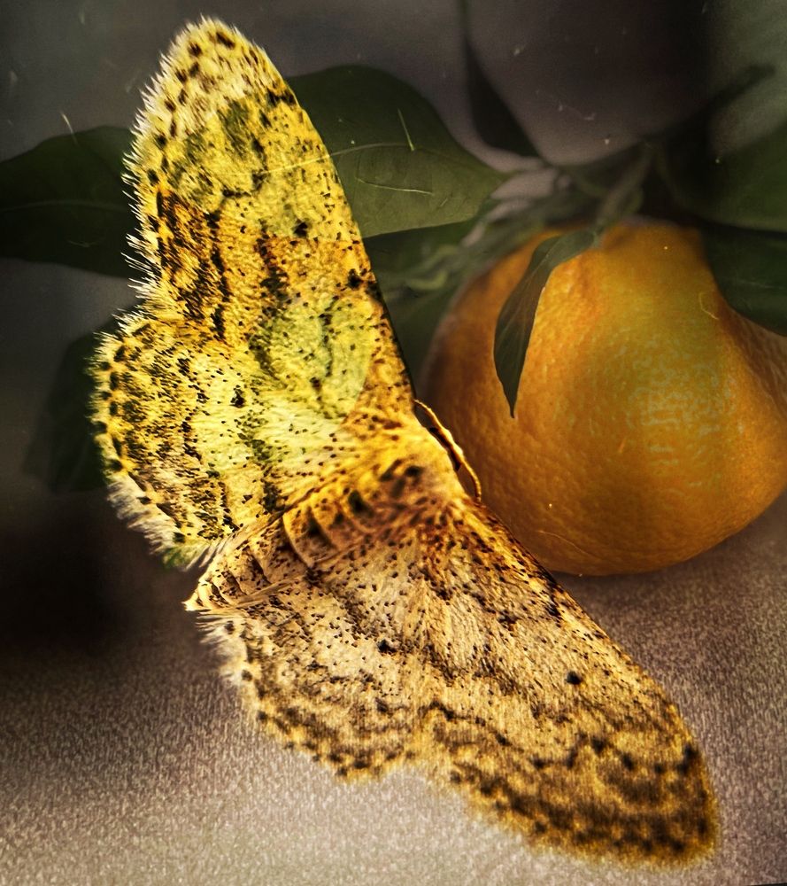 Photograph by Татьяна Михайловна