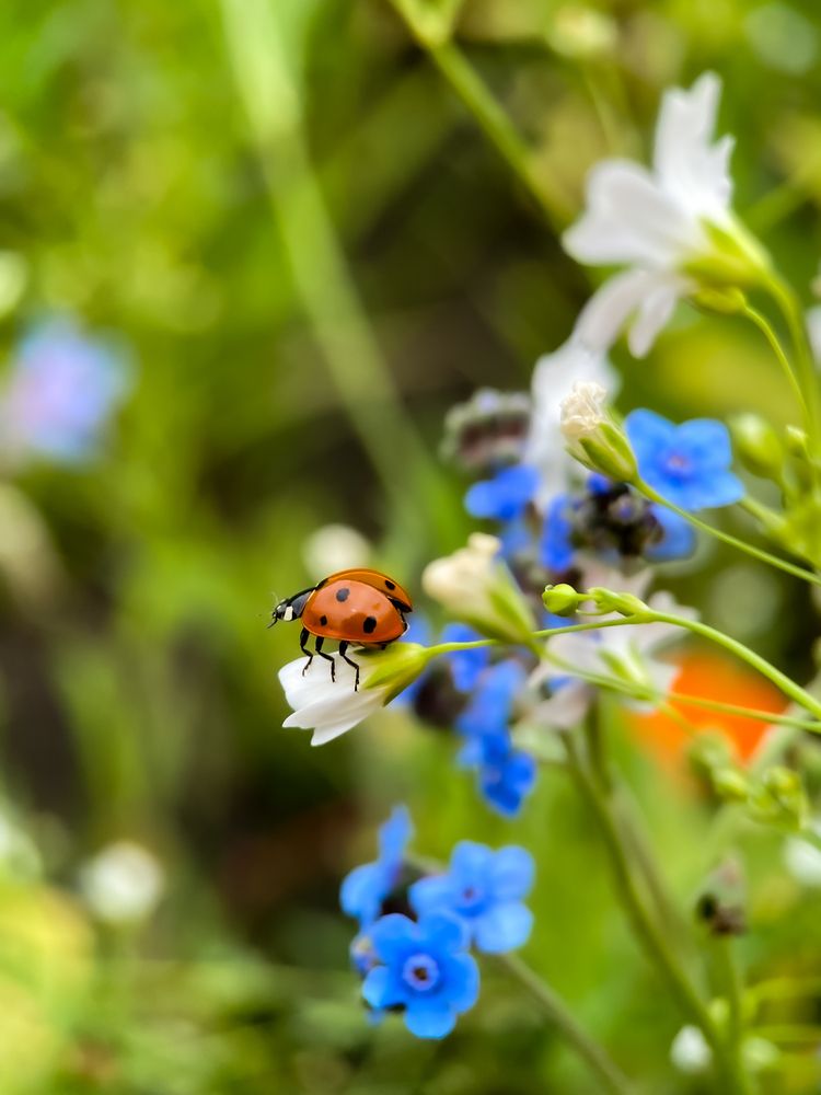 Photograph by Мария Чернецова