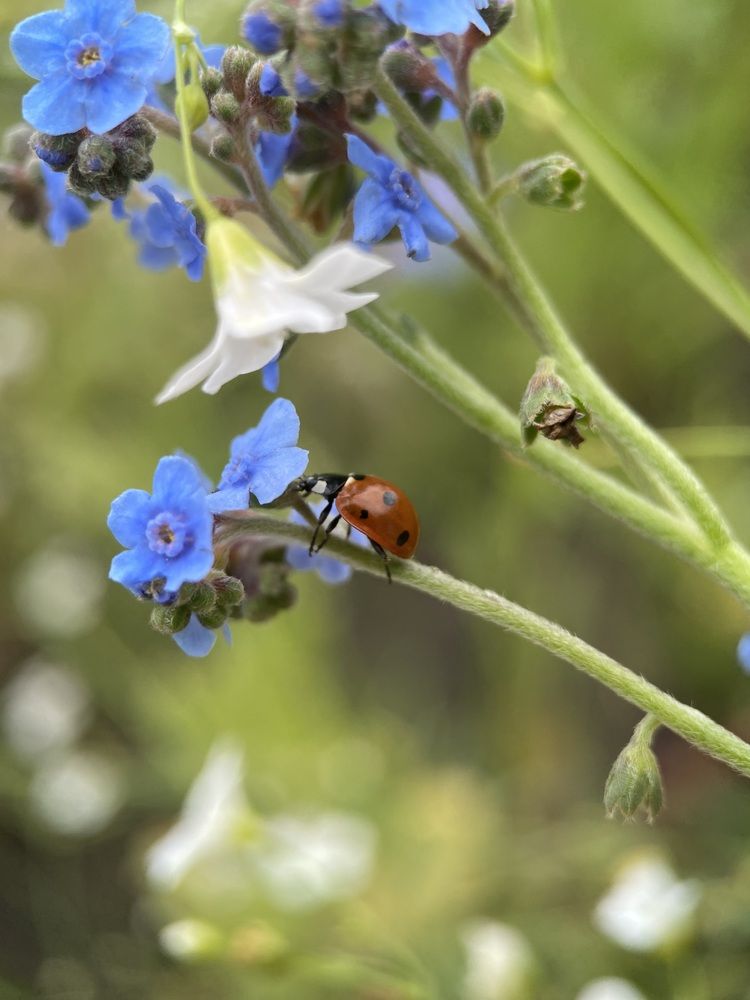 Photograph by Мария Чернецова