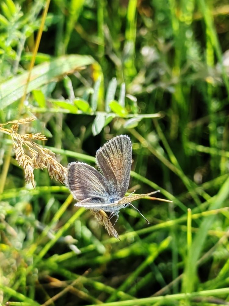 Photograph by Александр Куликов