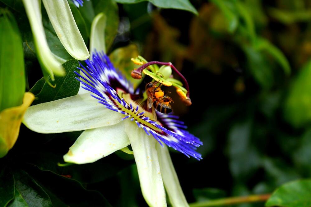 Photograph by Юрий Самодуров