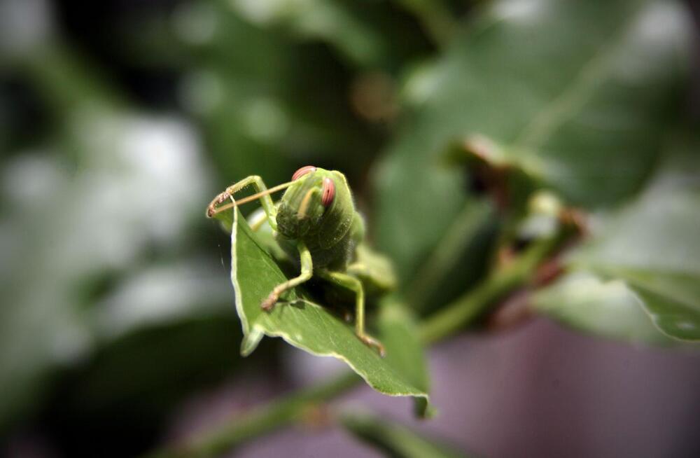 Photograph by Юрий Самодуров