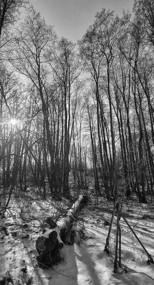 Photograph by Владимир Баулин