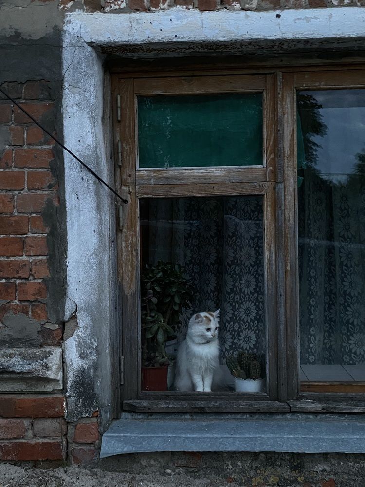 Photograph by Русский Голод