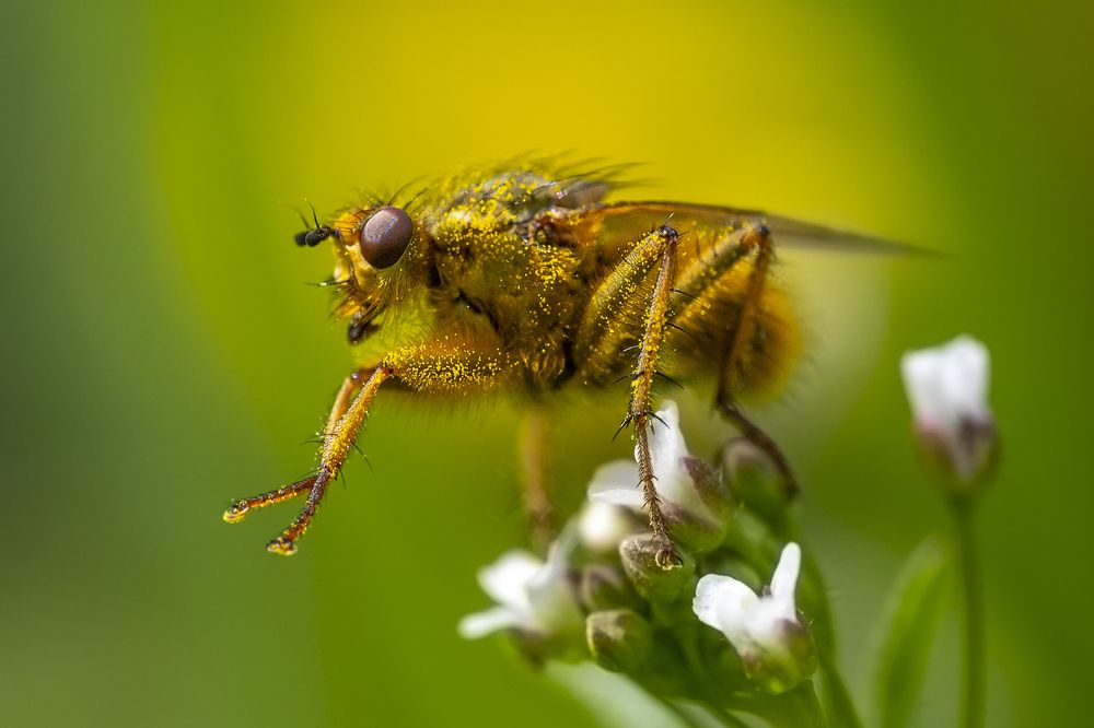 Фотография автора Liviu Ciprian Hiticas