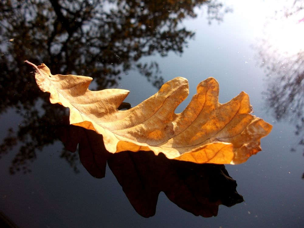 Photograph by Колесов Сергей