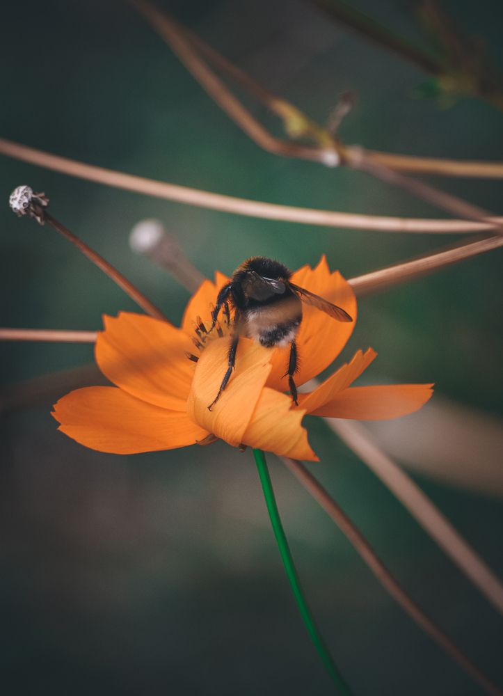 Photograph by Катерина Сорокина