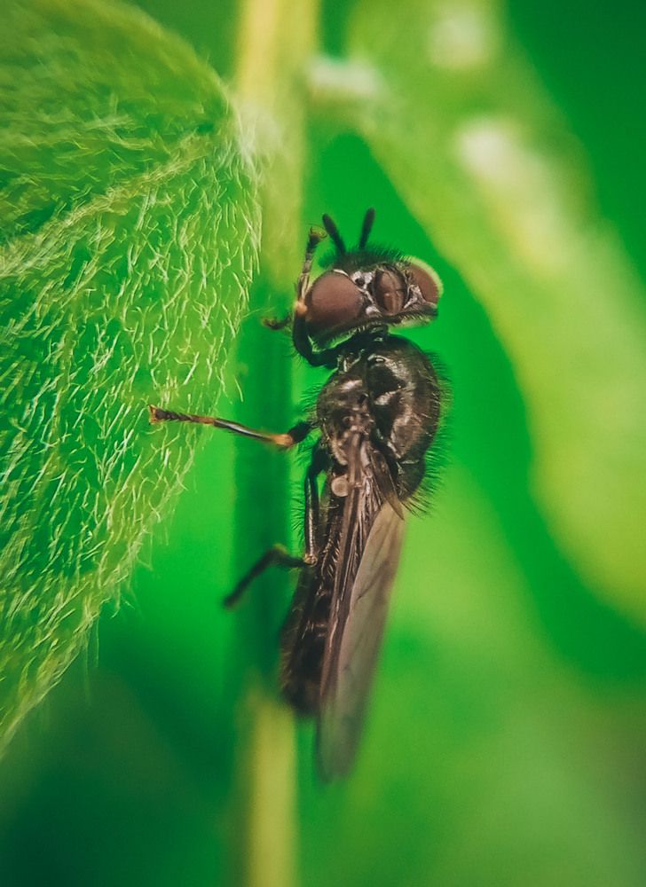 Photograph by Катерина Сорокина