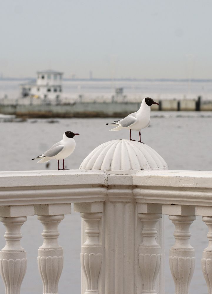 Photograph by Наталья Шумилова