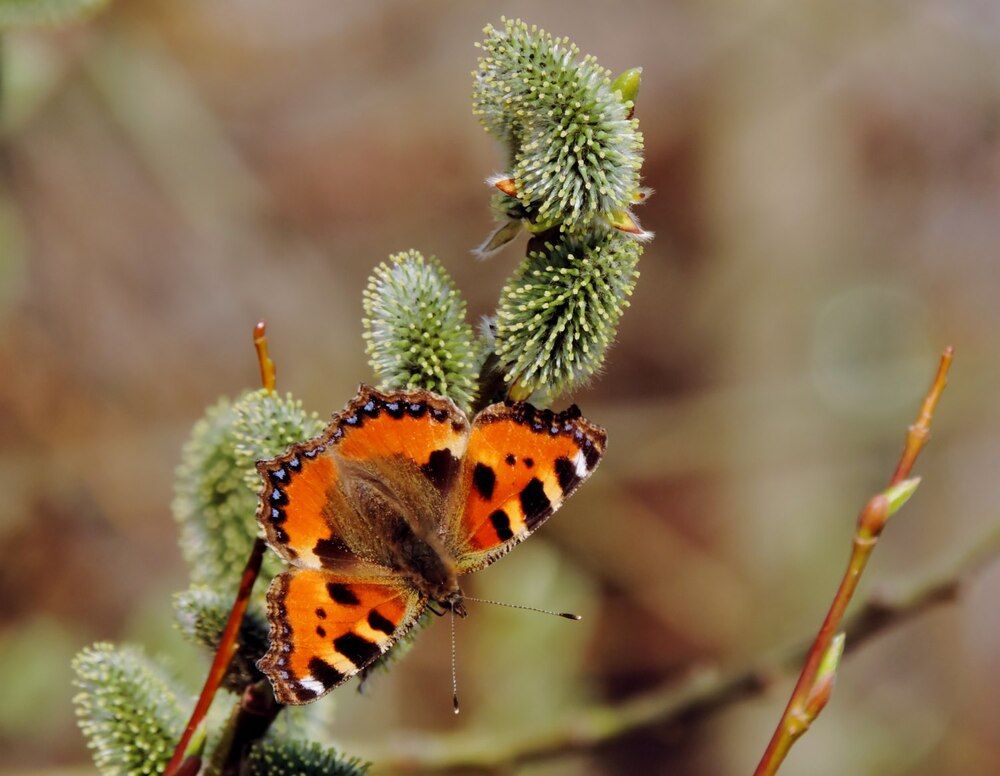 Photograph by Павел Васильев