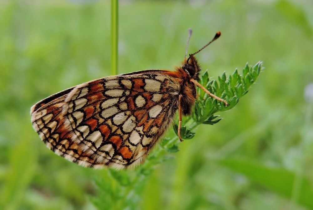 Photograph by Павел Васильев