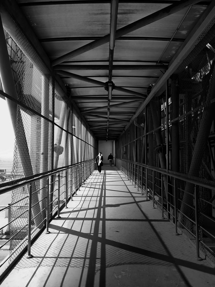 Photograph by yousef Tarek