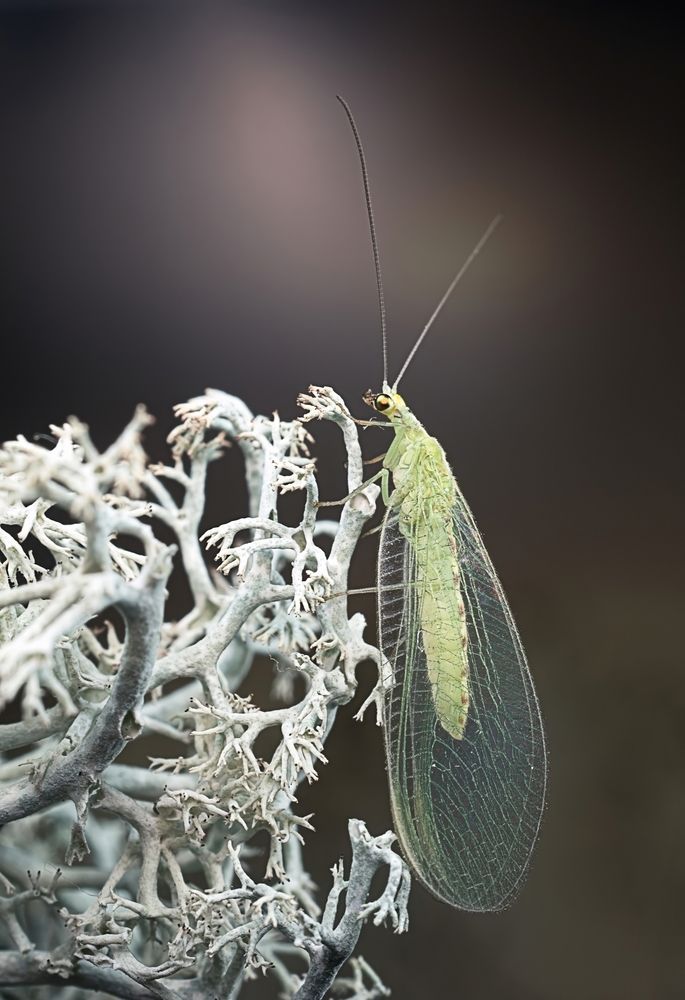 Photograph by Людмила Железнова