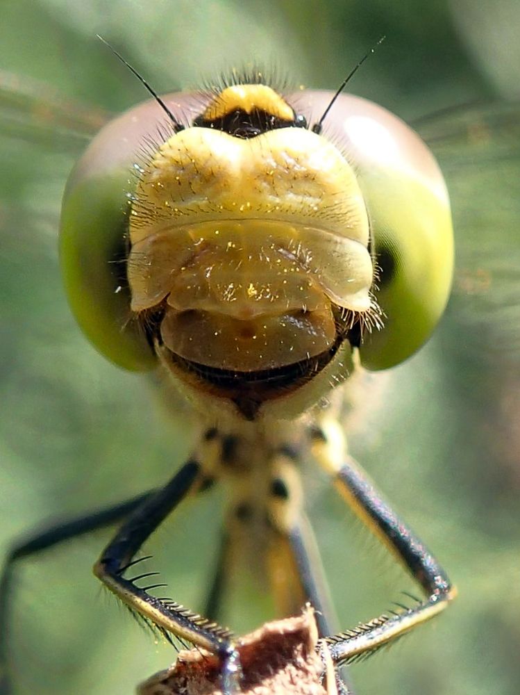 - Улыбочку, пожалуйста)