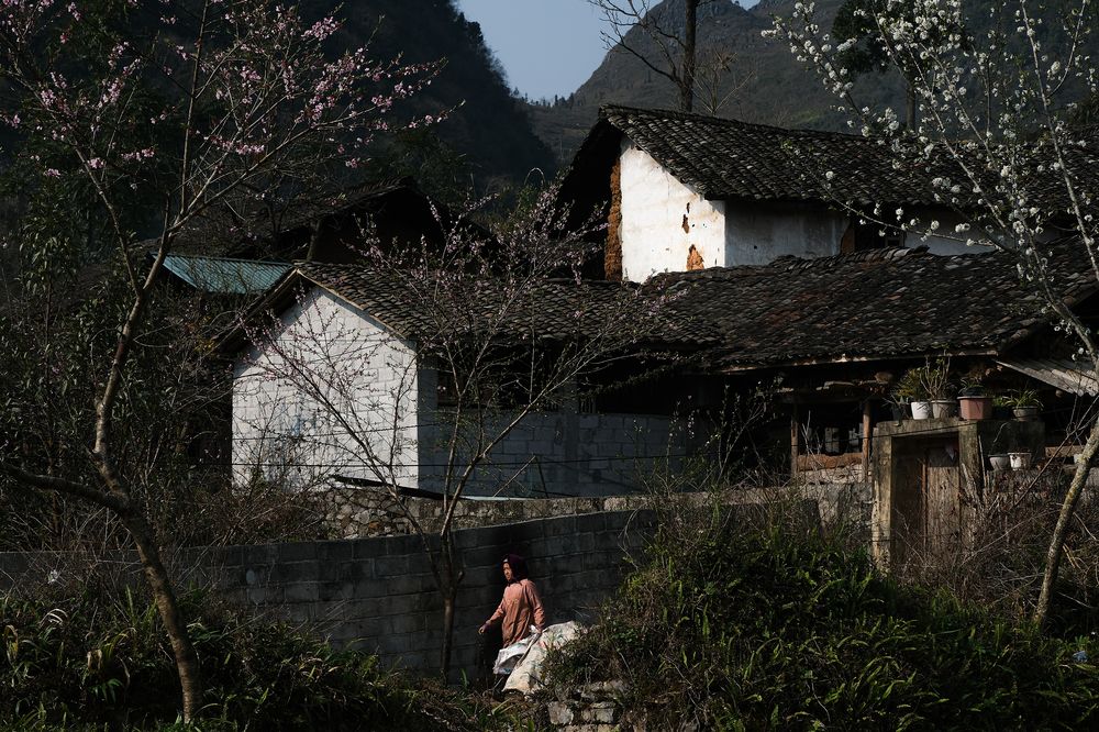 Photograph by Do Thi Thanh Binh