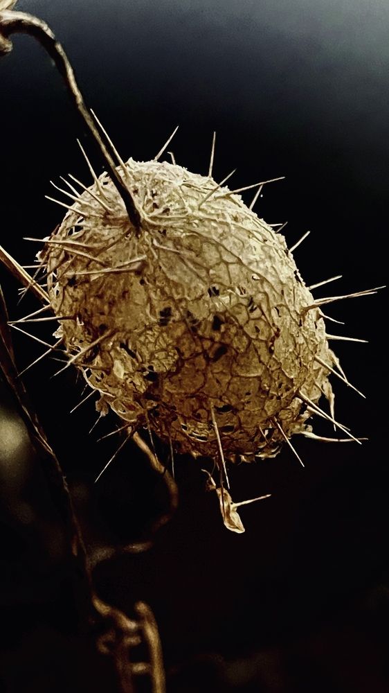 Photograph by Максим Азарчик