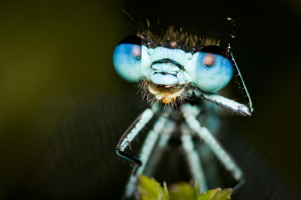 Photograph by Borislav