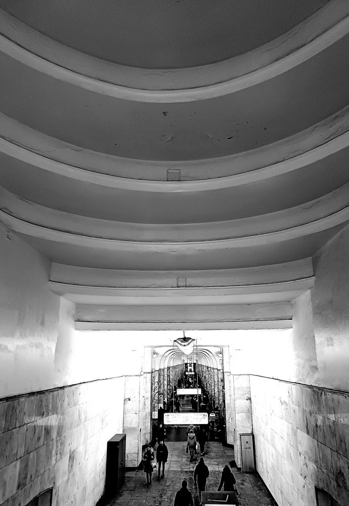 Photo #12049668
