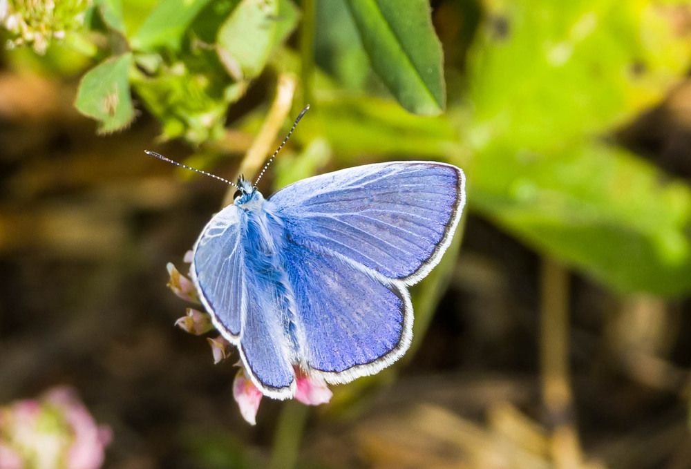Photograph by Силушин Алексей