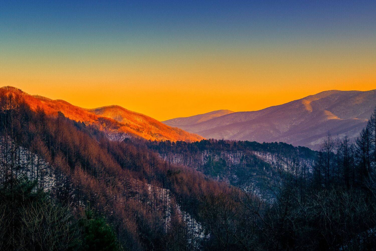 Beautiful Sunset