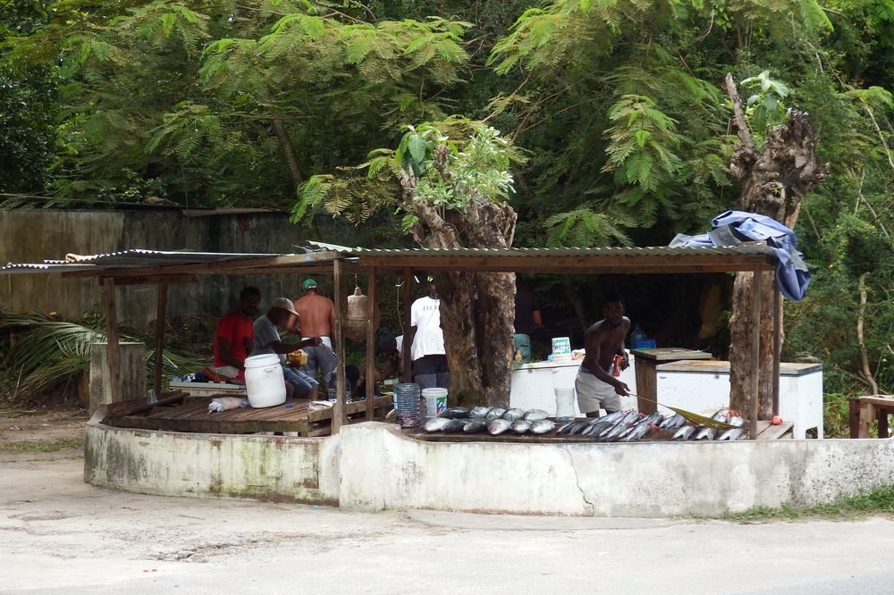 Photograph by Vasilii Martynov