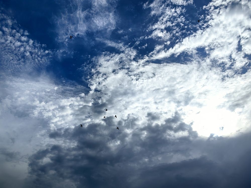 Photograph by Ivan Avitia