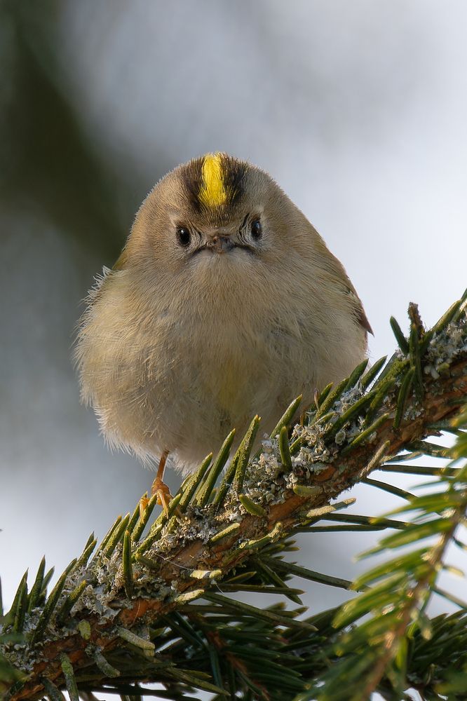 Photograph by Алексей Зенякин